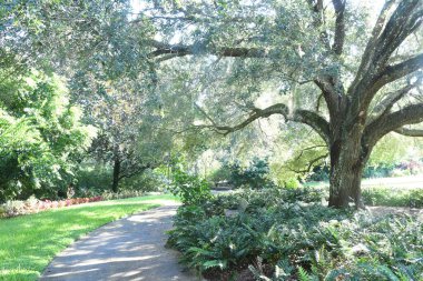 Orlando Florida 'daki Lew Garden. 