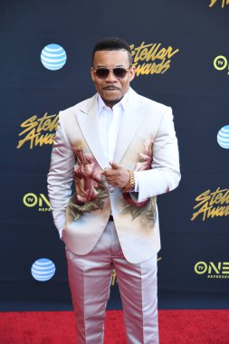 24 Mart 2018 Cumartesi günü Las Vegas 'taki Orleans Resort' ta düzenlenen 33. Yıldız Ödülleri Kırmızı Halı sırasında ünlüler.