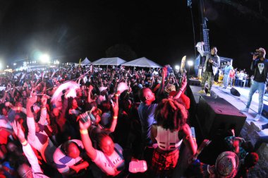 Orlando Karayipler Festivali 18 Mart 2017 Florid Fotoğraf: Marty Jean-Louis