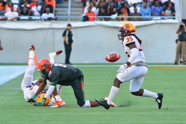 Florida Rattlers Enfrentan Bethune Cookman Wildcats Durante Los Clásicos Florida —  Fotos de Stock