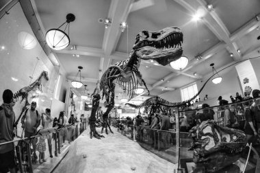 22 Mayıs 2016 'da New York' un geniş açı görüntüsü.  