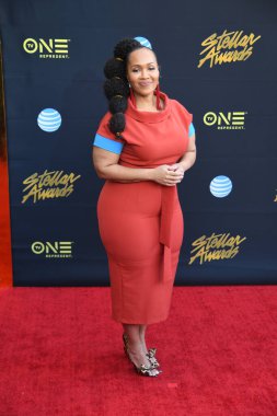 24 Mart 2018 Cumartesi günü Las Vegas 'taki Orleans Resort' ta düzenlenen 33. Yıldız Ödülleri Kırmızı Halı sırasında ünlüler.