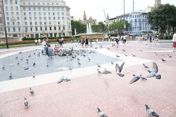 Uitzicht Het Centrale Plein Waar Mensen Duiven Voeren — Stockfoto