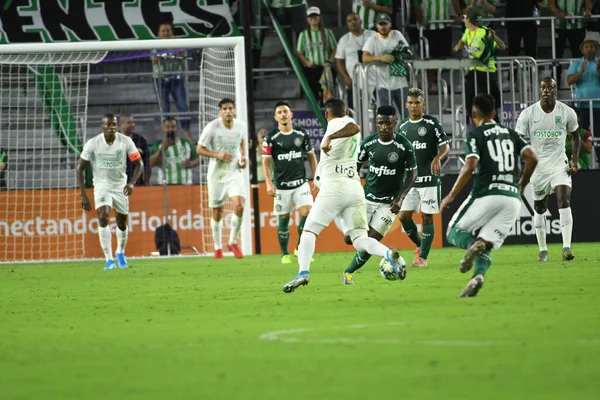 2018 Florida Cup 2020 Palmeiras Atletico Nacional Match Exploria Stadium — 스톡 사진