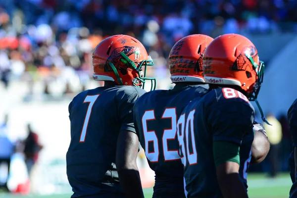 Florida Rattlers Enfrentan Bethune Cookman Wildcats Durante Los Clásicos Florida —  Fotos de Stock