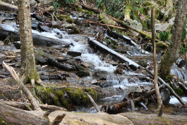 Zima Maggie Valley Karolina Północna — Zdjęcie stockowe