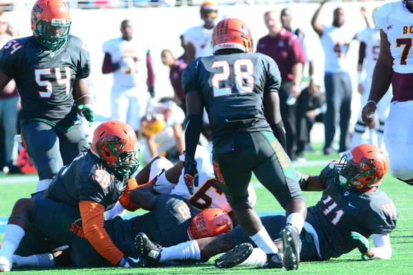 Florida Rattlers Enfrentan Bethune Cookman Wildcats Durante Los Clásicos Florida —  Fotos de Stock