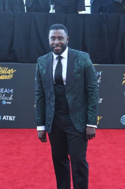 Kırmızı Halı Fotoğrafları 29 Mart 2019 Cumartesi günü Las Vegas 'taki Orleans Resort' ta düzenlenen 34. Yıldız Ödülleri sırasında çekildi.