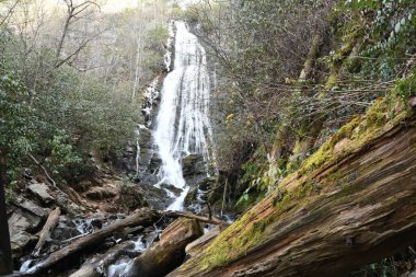 Maggie Vadisi, Kuzey Carolina 'da kış