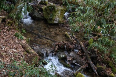 Maggie Vadisi, Kuzey Carolina 'da kış
