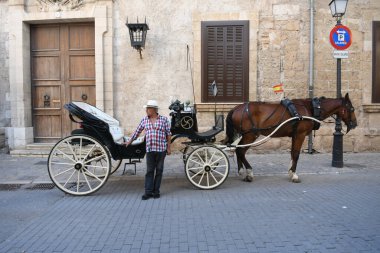 Bir faytoncuyla at arabasının görüntüsü