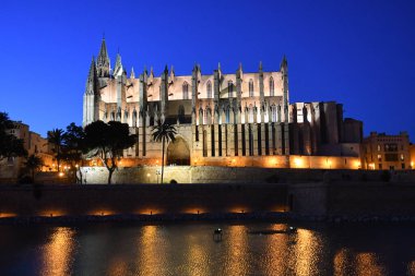 Palma De Mallorca İspanya 'daki Palma Kilisesi' nin gece manzarası