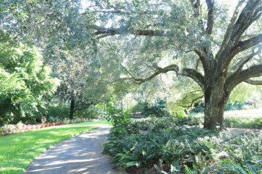 Orlando Florida 'daki Lew Garden. 