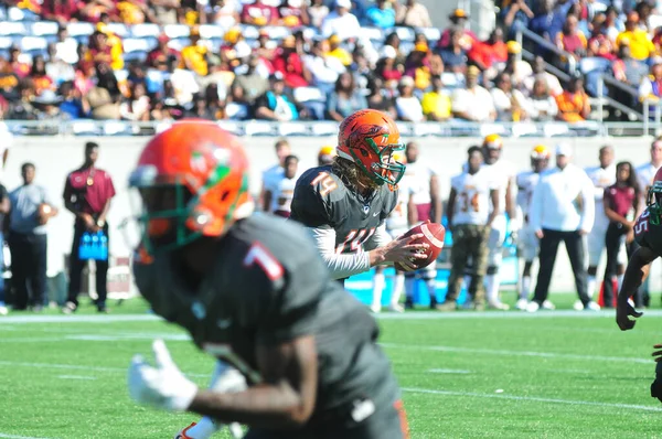 Florida Rattlers Enfrentan Bethune Cookman Wildcats Durante Los Clásicos Florida —  Fotos de Stock