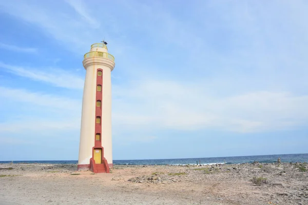 Beautiful Bonaire Caribbean Netherlands 2016 Photo Credit Marty Jean Louis — 스톡 사진