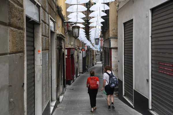 Ombrelli Bianchi Nella Bellissima Città Genova — Foto Stock