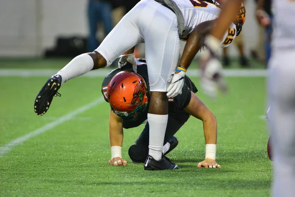 Florida Rattlers Zmierzą Się Bethune Cookman Wildcats Durig Florida Classics — Zdjęcie stockowe