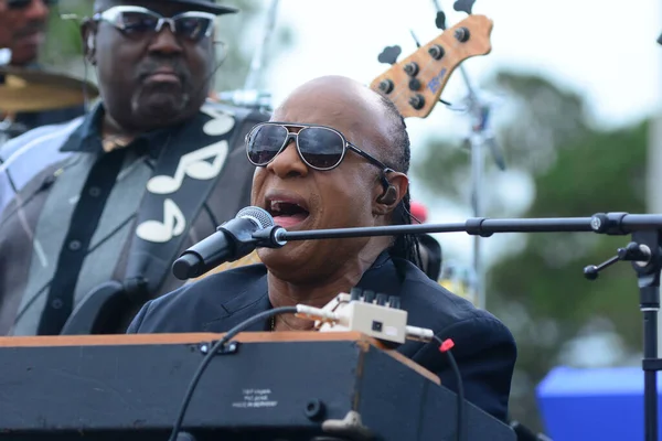 Stevie Wonder Esibisce Raduno Tenuto Dal Presidente Barack Obama Sostegno — Foto Stock