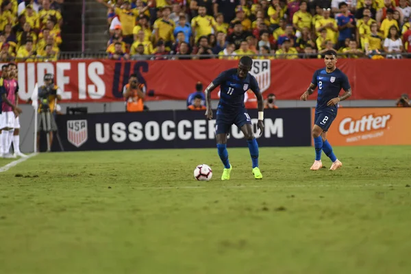 Usa Columbia Raymond James Stadion Tampa Florida Október 2018 — Stock Fotó