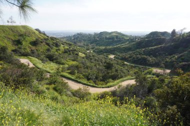Los Angeles tepelerinin manzarası, tepelerin arasındaki yollar.