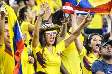 ABD Kolombiya 'ya karşı Raymond James Stadyumu' nda 11 Ekim 2018 'de.  