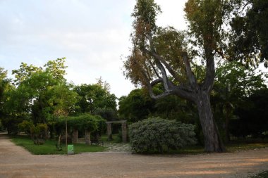 Parkın güzel manzarasına bakın.