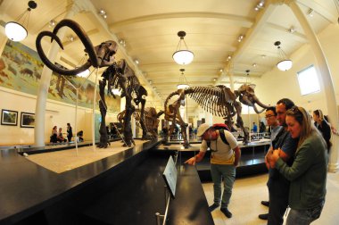 22 Mayıs 2016 'da New York' un geniş açı görüntüsü. 