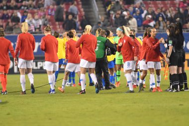 SheBelieves Kupası Finali ABD ile Brezilya arasında Tampa Florida Raymond James Stadyumu 'nda 5 Mart 2019' da oynanacak..