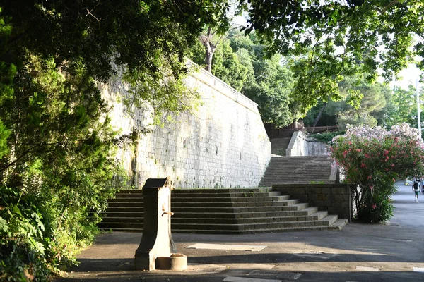 Parkın güzel manzarasına bakın.