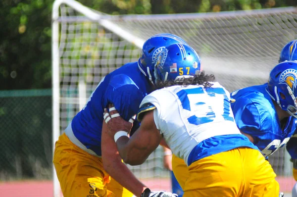 Georgia State Football Team Prepara Para Cure Bowl Mientras Enfrentan —  Fotos de Stock