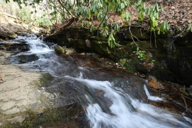 Maggie Vadisi, Kuzey Carolina 'da kış.