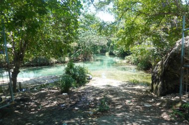 Kıyıdan temiz suyla güzel bir göl manzarası