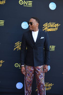 24 Mart 2018 Cumartesi günü Las Vegas 'taki Orleans Resort' ta düzenlenen 33. Yıldız Ödülleri Kırmızı Halı sırasında ünlüler.