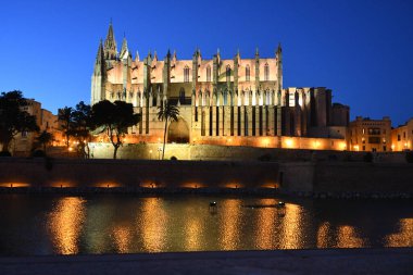 Palma De Mallorca İspanya 'daki Palma Kilisesi' nin gece manzarası