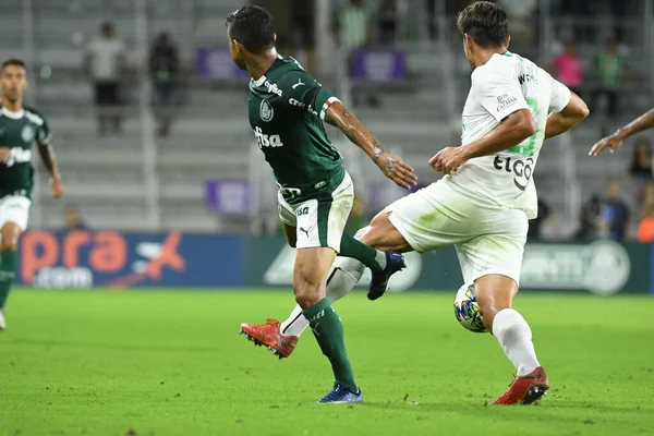 Florida Kupası 2020: S.E Palmeiras - Atletico Nacional maçı 15 Ocak 2020 Çarşamba günü Orlando Florida Exploria Stadyumu 'nda..  