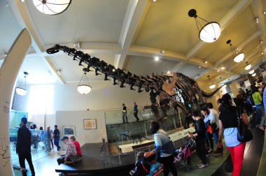 22 Mayıs 2016 'da New York' un geniş açı görüntüsü. 