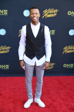 24 Mart 2018 Cumartesi günü Las Vegas 'taki Orleans Resort' ta düzenlenen 33. Yıldız Ödülleri Kırmızı Halı sırasında ünlüler.