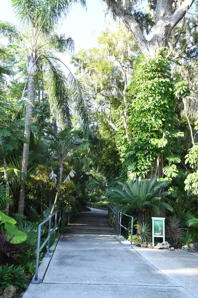 Lew Garden Orlando Florida — Foto Stock