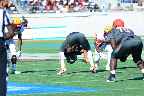 Florida Rattlers Face Bethune Cookman Wildcats Durig Florida Classics Camping — стокове фото