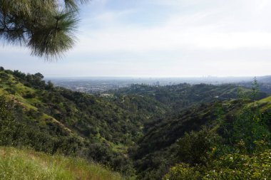 Los Angeles tepelerinin manzarası, tepeler ve şehirler arasındaki yollar.