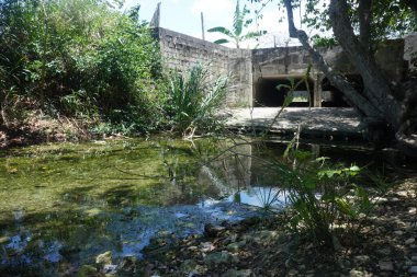 Kıyıdan temiz suyla güzel bir göl manzarası