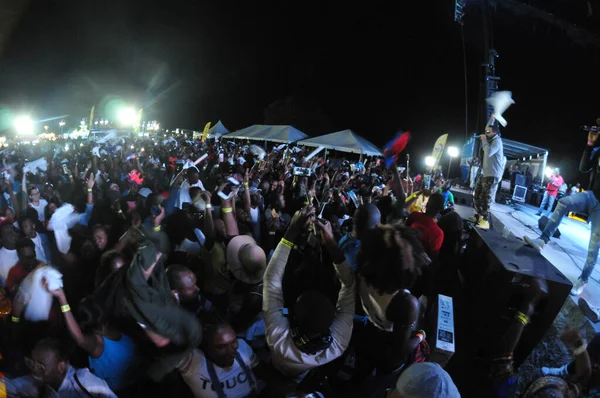 Orlando Caribbean Festival Março 2017 Florid Photo Credit Marty Jean — Fotografia de Stock