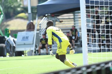 Toronto FC, 13 Temmuz 2020 tarihinde Orlando Florida 'daki ESPN Wild World of Sports' ta düzenlenen MLS Back Tournament sırasında D.C. United ile karşılaştı. Fotoğraf: Marty Jean-Louis