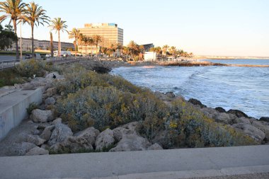 Sahili ve rıhtımı olan sahil manzarası.