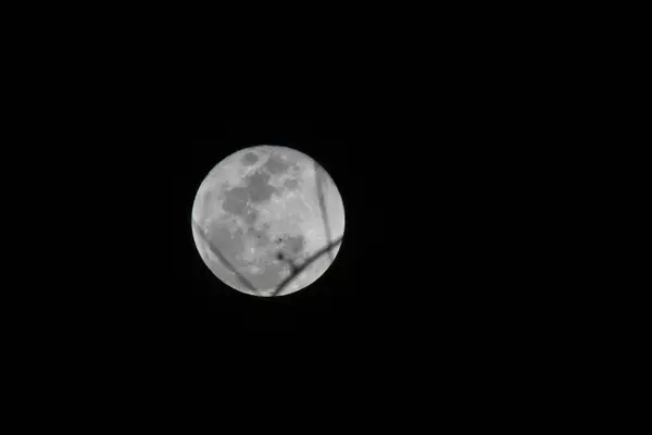 Hermosa Vista Luna Llena Cielo Nocturno — Foto de Stock