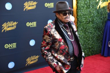 24 Mart 2018 Cumartesi günü Las Vegas 'taki Orleans Resort' ta düzenlenen 33. Yıldız Ödülleri Kırmızı Halı sırasında ünlüler.