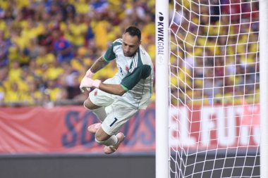 ABD Kolombiya 'ya karşı Raymond James Stadyumu' nda 11 Ekim 2018 'de.  