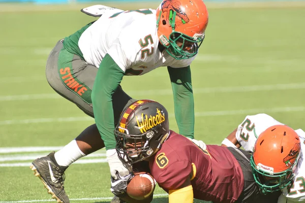 Florida Classics Bcu Famu Citrus Bowl Orlando Florida Noviembre 2017 —  Fotos de Stock