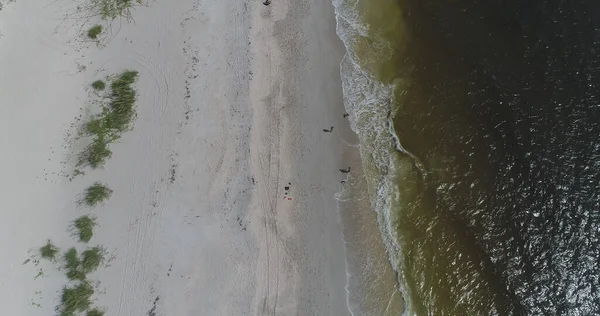 Letecký Pohled Krásnou Pláž Clearwater Floridě Srpna 2017 — Stock fotografie