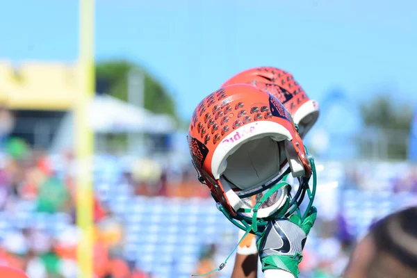 Florida Rattlers Enfrentan Bethune Cookman Wildcats Durante Los Clásicos Florida —  Fotos de Stock